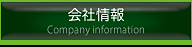 東洋構造コンサルタント_会社情報